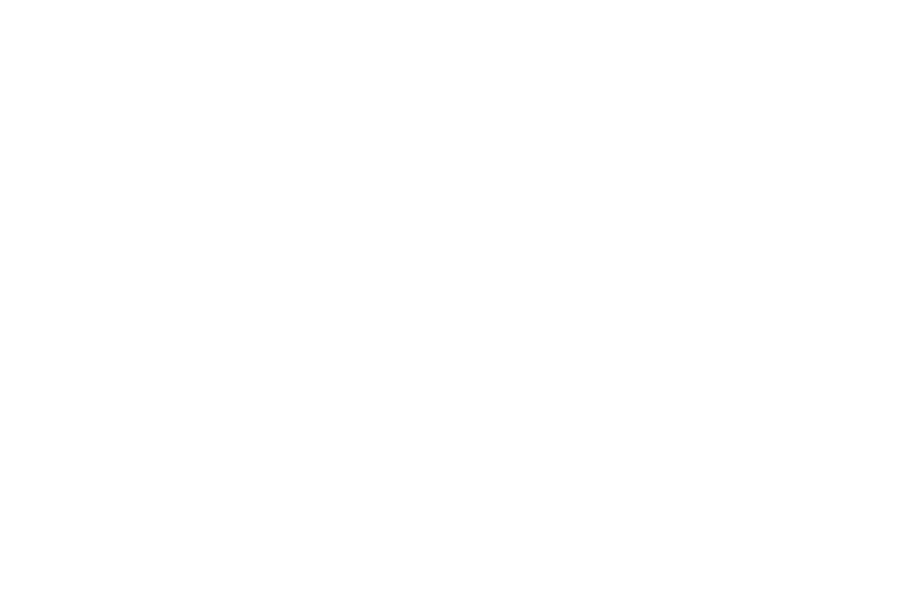 MeetingPulse Logo White